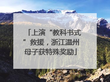 上演“教科书式”救援，浙江温州母子获特殊奖励