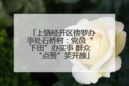 上饶经开区傍罗办事处石桥村：党员“下田”办实事 群众“点赞”笑开颜