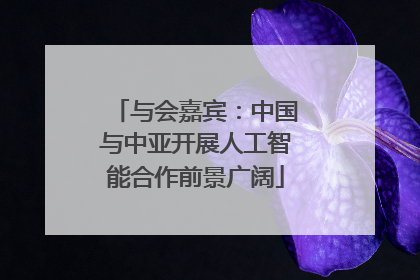 与会嘉宾：中国与中亚开展人工智能合作前景广阔