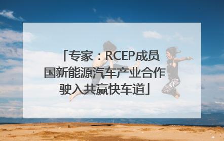专家：RCEP成员国新能源汽车产业合作驶入共赢快车道