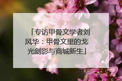 专访甲骨文学者刘风华：甲骨文里的戈光剑影与商城新生