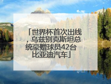 世界杯首次出线，乌兹别克斯坦总统豪赠球员42台比亚迪汽车