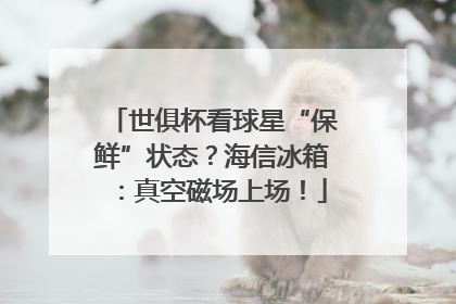 世俱杯看球星“保鲜”状态？海信冰箱：真空磁场上场！