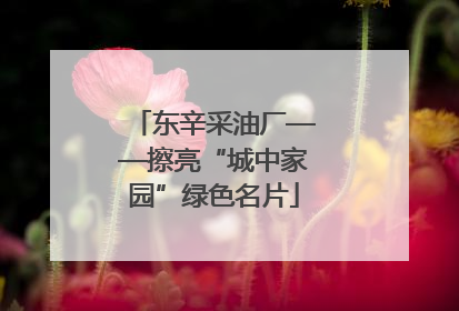 东辛采油厂——擦亮“城中家园”绿色名片