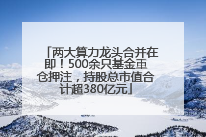 两大算力龙头合并在即！500余只基金重仓押注，持股总市值合计超380亿元