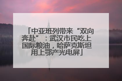 中亚班列带来“双向奔赴”：武汉市民吃上国际粮油，哈萨克斯坦用上鄂产光电屏