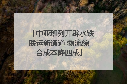 中亚班列开辟水铁联运新通道 物流综合成本降四成