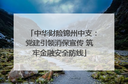 中华财险锦州中支：党建引领消保宣传 筑牢金融安全防线