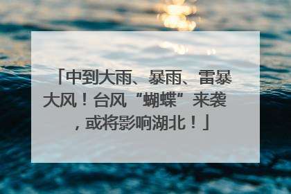 中到大雨、暴雨、雷暴大风！台风“蝴蝶”来袭，或将影响湖北！