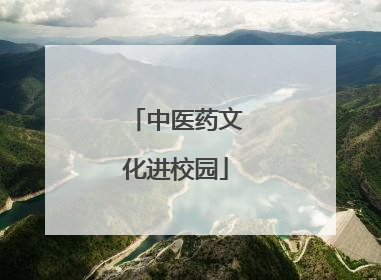 中医药文化进校园
