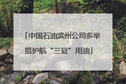 中国石油滨州公司多举措护航“三夏”用油