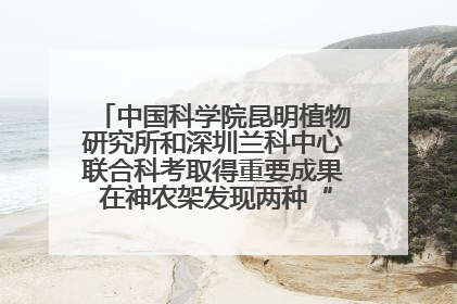中国科学院昆明植物研究所和深圳兰科中心联合科考取得重要成果 在神农架发现两种“国保”级兰花