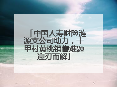 中国人寿财险涟源支公司助力，十甲村黄桃销售难题迎刃而解