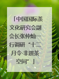中国国际茶文化研究会副会长张仲灿一行调研“十二月令·非遗茶空间”