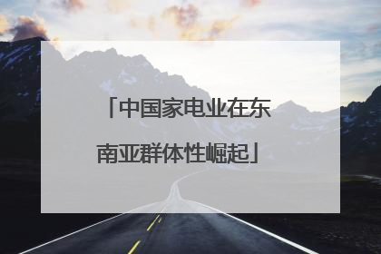 中国家电业在东南亚群体性崛起