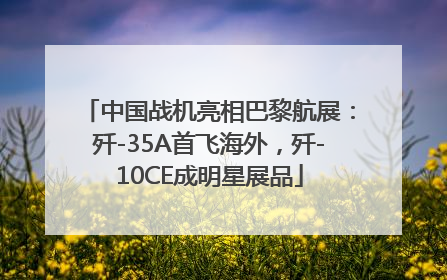 中国战机亮相巴黎航展：歼-35A首飞海外，歼-10CE成明星展品
