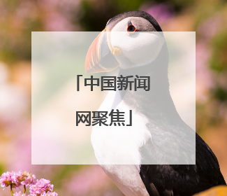 中国新闻网聚焦