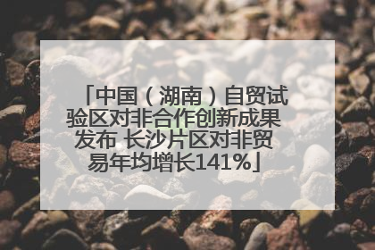 中国（湖南）自贸试验区对非合作创新成果发布 长沙片区对非贸易年均增长141%