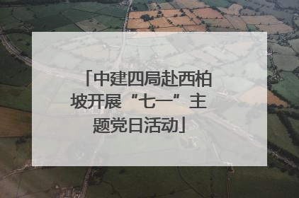 中建四局赴西柏坡开展“七一”主题党日活动