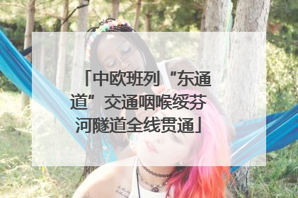中欧班列“东通道”交通咽喉绥芬河隧道全线贯通