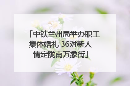 中铁兰州局举办职工集体婚礼 36对新人情定陇南万象街