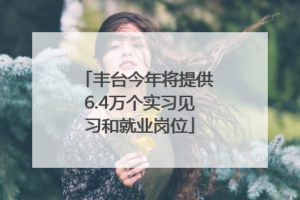丰台今年将提供6.4万个实习见习和就业岗位