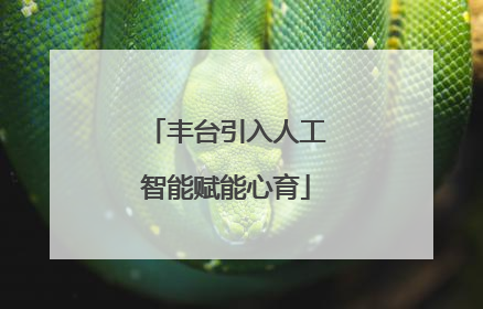 丰台引入人工智能赋能心育