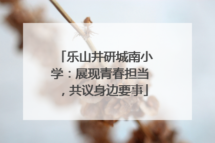 乐山井研城南小学：展现青春担当，共议身边要事