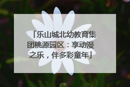 乐山城北幼教育集团桃源园区：享动漫之乐，伴多彩童年