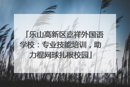 乐山高新区嘉祥外国语学校：专业技能培训，助力棍网球扎根校园