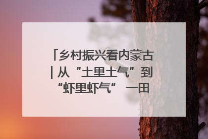 乡村振兴看内蒙古｜从“土里土气”到“虾里虾气” 一田双收模式火出圈
