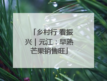 乡村行 看振兴｜元江：早熟芒果销售旺