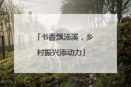 书香飘汤溪，乡村振兴添动力