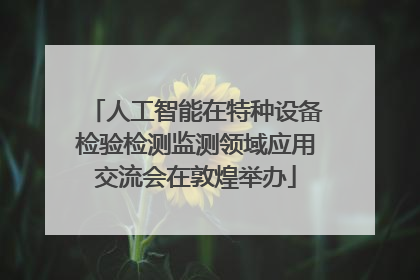 人工智能在特种设备检验检测监测领域应用交流会在敦煌举办
