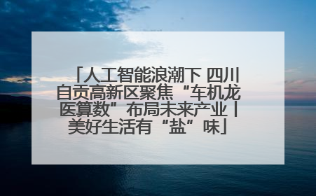 人工智能浪潮下 四川自贡高新区聚焦“车机龙医算数”布局未来产业丨美好生活有“盐”味