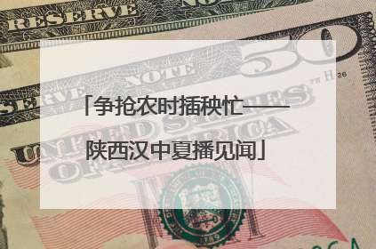 争抢农时插秧忙——陕西汉中夏播见闻