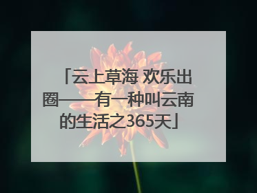 云上草海 欢乐出圈——有一种叫云南的生活之365天