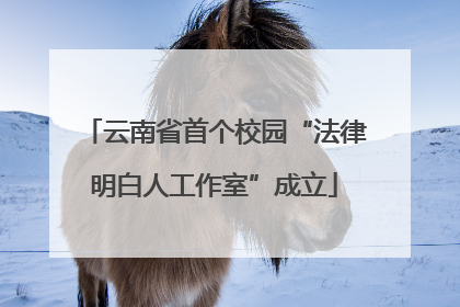 云南省首个校园“法律明白人工作室”成立