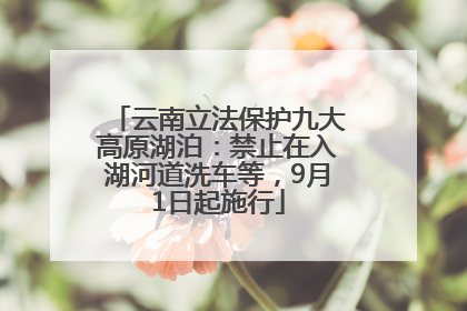 云南立法保护九大高原湖泊：禁止在入湖河道洗车等，9月1日起施行