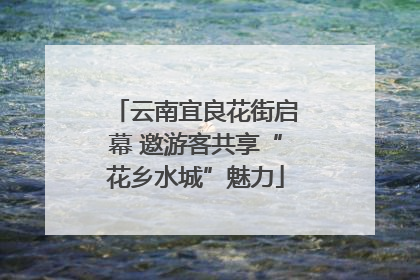 云南宜良花街启幕 邀游客共享“花乡水城”魅力