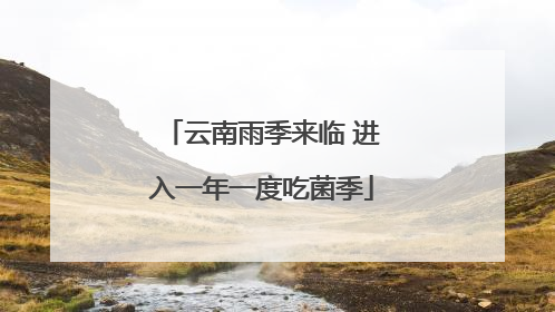 云南雨季来临 进入一年一度吃菌季