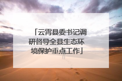 云霄县委书记调研督导全县生态环境保护重点工作