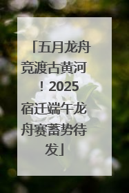 五月龙舟竞渡古黄河！2025宿迁端午龙舟赛蓄势待发