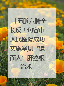 五脏六腑全长反！句容市人民医院成功实施罕见“镜面人”肝癌根治术