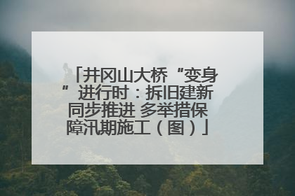 井冈山大桥“变身”进行时：拆旧建新同步推进 多举措保障汛期施工（图）