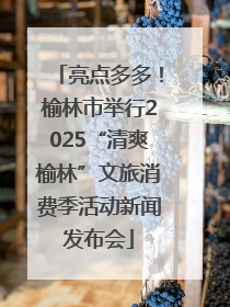 亮点多多！榆林市举行2025“清爽榆林”文旅消费季活动新闻发布会