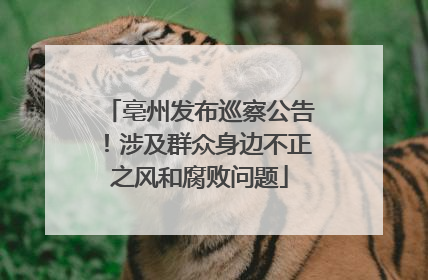 亳州发布巡察公告！涉及群众身边不正之风和腐败问题