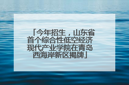今年招生，山东省首个综合性低空经济现代产业学院在青岛西海岸新区揭牌