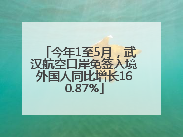 今年1至5月，武汉航空口岸免签入境外国人同比增长160.87%