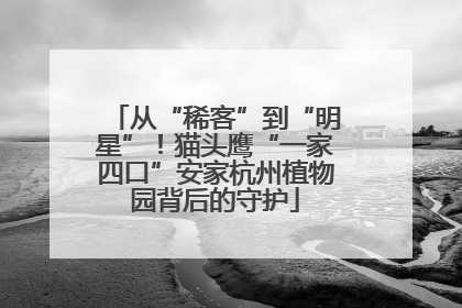 从“稀客”到“明星”！猫头鹰“一家四口”安家杭州植物园背后的守护